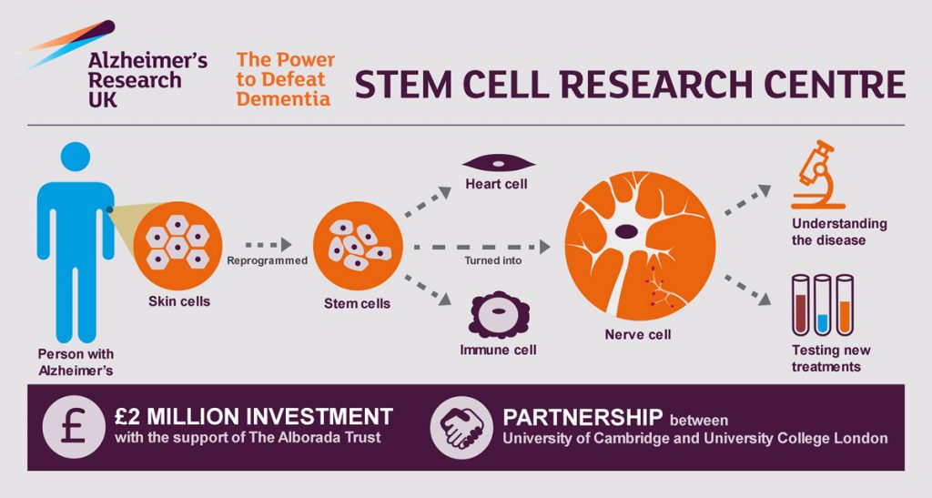 Stem cell Research Centre Infographic